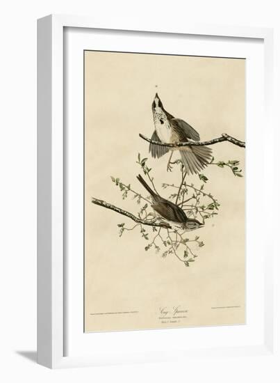 Song Sparrow-null-Framed Giclee Print