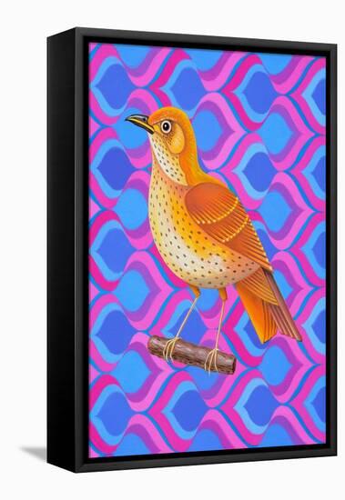 Song Thrush, 2023 (Oil on Canvas)-Jane Tattersfield-Framed Premier Image Canvas