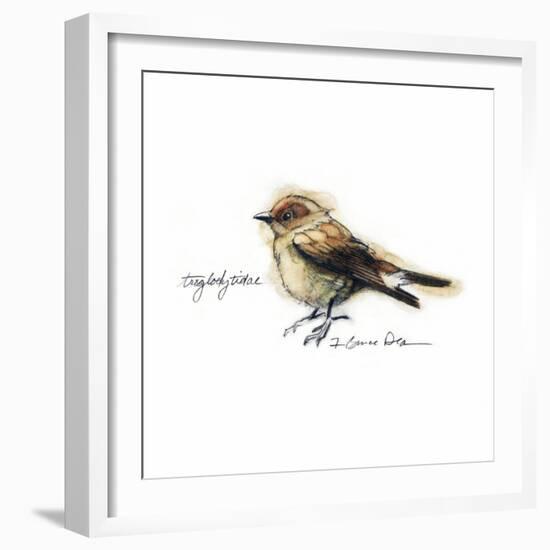 Songbird Study I-Bruce Dean-Framed Art Print