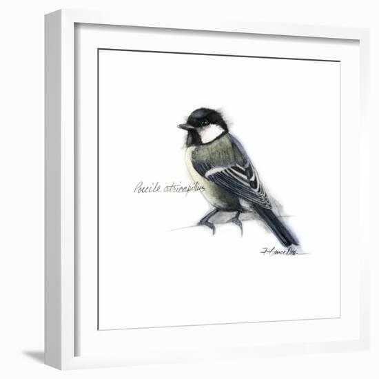 Songbird Study II-Bruce Dean-Framed Art Print