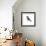 Songbird Study II-Bruce Dean-Framed Art Print displayed on a wall