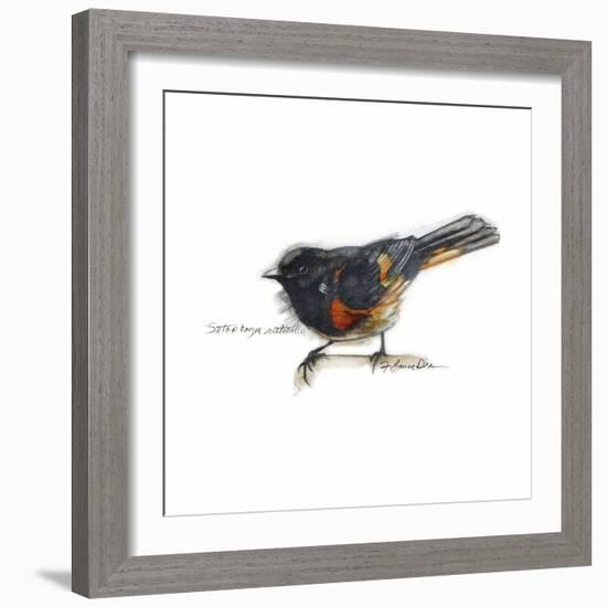 Songbird Study IV-Bruce Dean-Framed Art Print