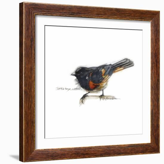 Songbird Study IV-Bruce Dean-Framed Art Print