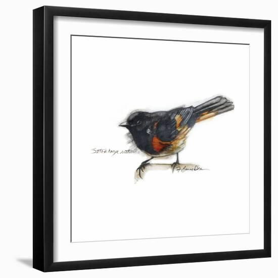 Songbird Study IV-Bruce Dean-Framed Art Print