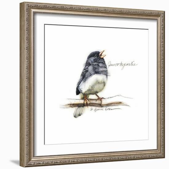 Songbird Study VI-Bruce Dean-Framed Art Print