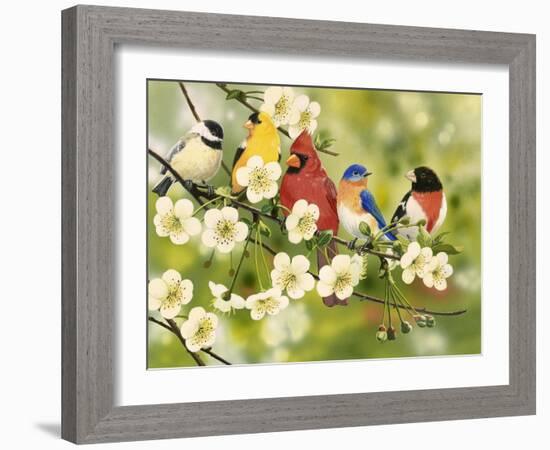 Songbirds on a Flowering Branch-William Vanderdasson-Framed Giclee Print