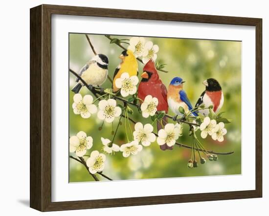 Songbirds on a Flowering Branch-William Vanderdasson-Framed Giclee Print