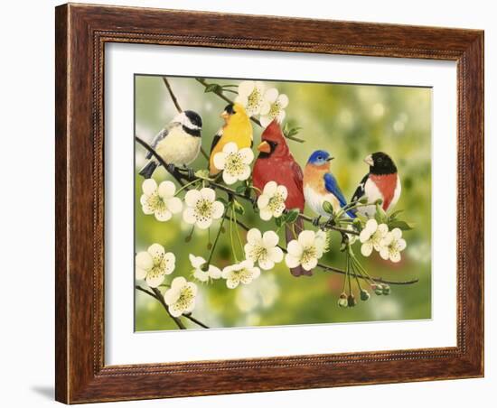 Songbirds on a Flowering Branch-William Vanderdasson-Framed Giclee Print