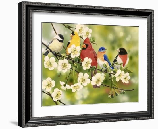 Songbirds on a Flowering Branch-William Vanderdasson-Framed Giclee Print