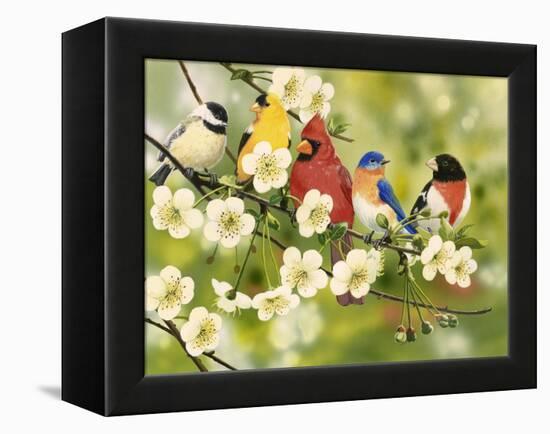 Songbirds on a Flowering Branch-William Vanderdasson-Framed Premier Image Canvas