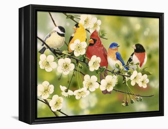 Songbirds on a Flowering Branch-William Vanderdasson-Framed Premier Image Canvas