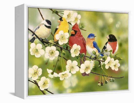 Songbirds on a Flowering Branch-William Vanderdasson-Framed Premier Image Canvas