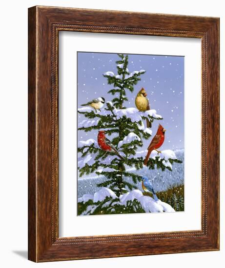 Songbirds on a Limb-William Vanderdasson-Framed Giclee Print