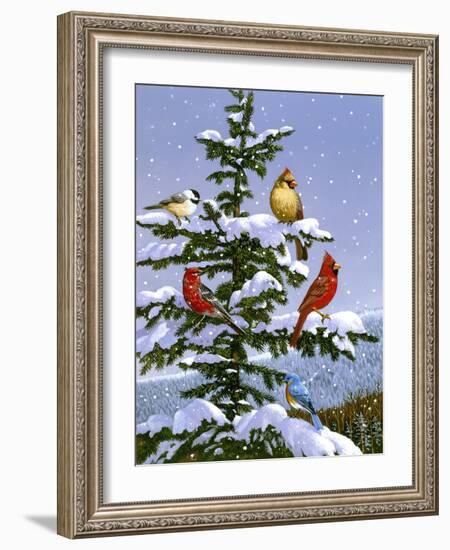 Songbirds on a Limb-William Vanderdasson-Framed Giclee Print