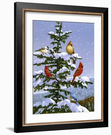 Songbirds on a Limb-William Vanderdasson-Framed Giclee Print