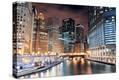 Stretched Canvas Print