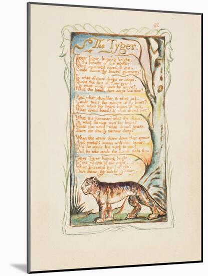 Songs of Innocence and of Experience: The Tyger, c.1825-William Blake-Mounted Giclee Print