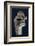 Songye wooden mask, Katanga region, DR Congo, 20th century-Werner Forman-Framed Photographic Print