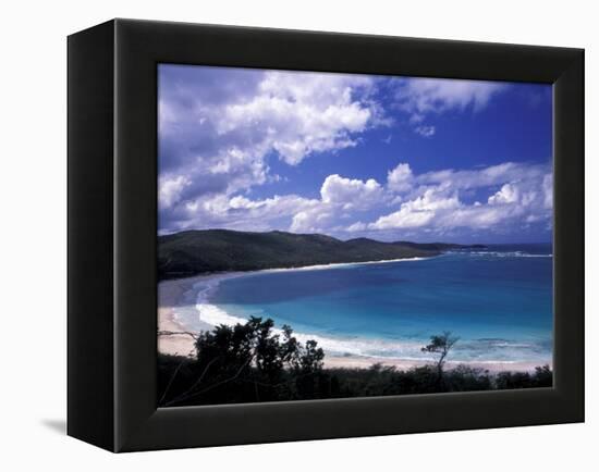 Soni Beach on Culebra Island, Puerto Rico-Michele Molinari-Framed Premier Image Canvas