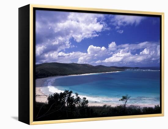 Soni Beach on Culebra Island, Puerto Rico-Michele Molinari-Framed Premier Image Canvas