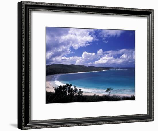 Soni Beach on Culebra Island, Puerto Rico-Michele Molinari-Framed Photographic Print