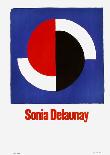 International Womens Year-Sonia Delaunay-Terk-Framed Collectable Print