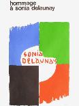 Rhythm Colour no. 1076, 1939-Sonia Delaunay-Giclee Print