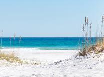 View through the Dunes to the Blue Ocean of Pensacola Beach-Sonja Filitz-Framed Premier Image Canvas