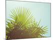 Photographic Print