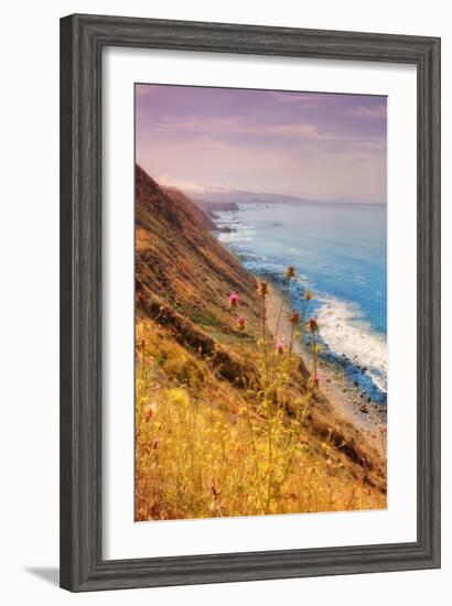 Sonoma Coast Mist-Vincent James-Framed Photographic Print