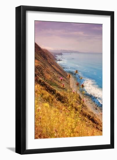 Sonoma Coast Mist-Vincent James-Framed Photographic Print