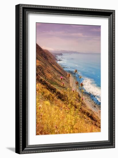 Sonoma Coast Mist-Vincent James-Framed Photographic Print