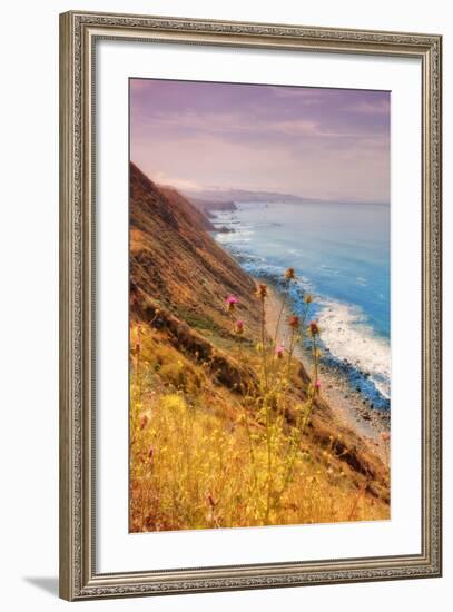 Sonoma Coast Mist-Vincent James-Framed Photographic Print
