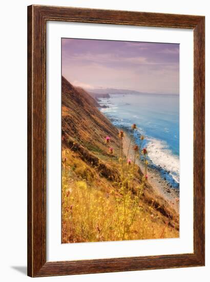 Sonoma Coast Mist-Vincent James-Framed Photographic Print