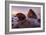 Sonoma Coast Morning Seascape-Vincent James-Framed Photographic Print