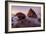 Sonoma Coast Morning Seascape-Vincent James-Framed Photographic Print