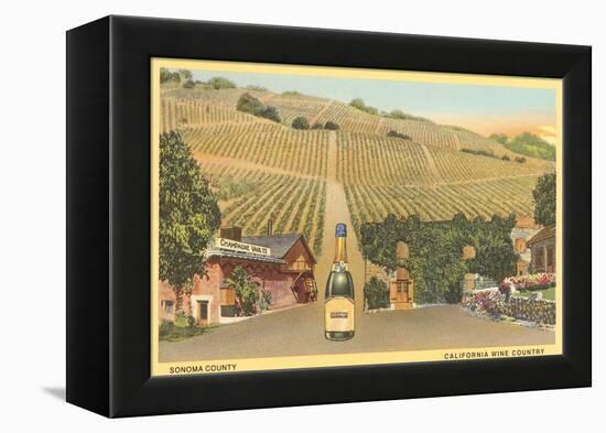 Sonoma County Vineyards, California-null-Framed Stretched Canvas