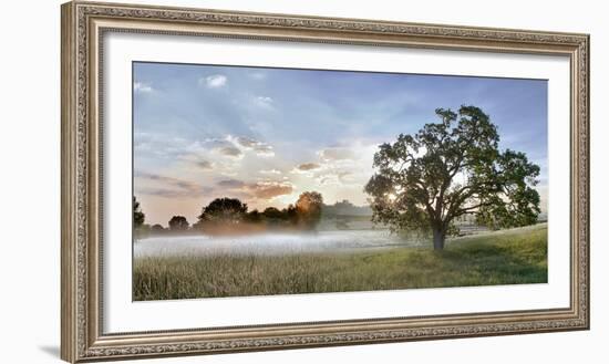 Sonoma Oak #3-Alan Blaustein-Framed Photographic Print