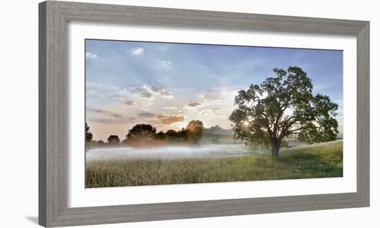 Sonoma Oak #3-Alan Blaustein-Framed Photographic Print