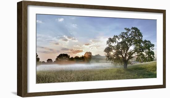 Sonoma Oak #3-Alan Blaustein-Framed Photographic Print