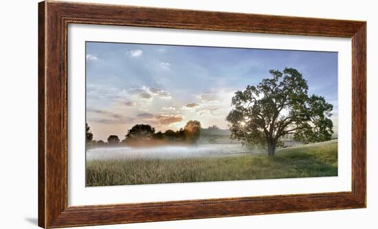 Sonoma Oak #3-Alan Blaustein-Framed Photographic Print