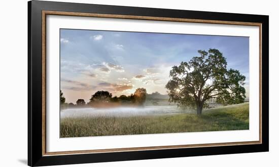 Sonoma Oak #3-Alan Blaustein-Framed Photographic Print