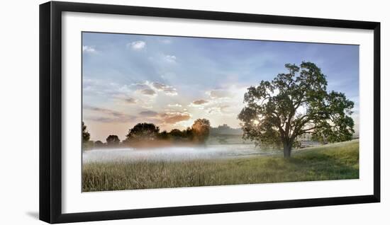 Sonoma Oak #3-Alan Blaustein-Framed Photographic Print