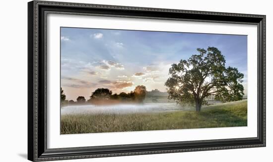 Sonoma Oak #3-Alan Blaustein-Framed Photographic Print