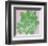 Sonora Aloe - Bright-Max Carter-Framed Giclee Print