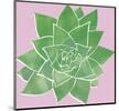 Sonora Aloe - Bright-Max Carter-Mounted Giclee Print