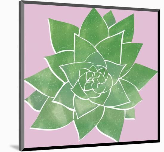 Sonora Aloe - Bright-Max Carter-Mounted Giclee Print