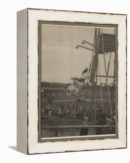 Sonora Carver Performs as a Diving Horse Girl; National Museum of American History: AC Photography-null-Framed Stretched Canvas