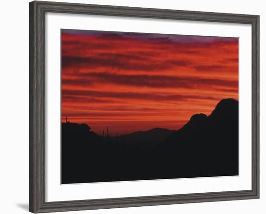 Sonora Desert, Saguaro National Park, Arizona, USA-Dee Ann Pederson-Framed Photographic Print