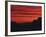 Sonora Desert, Saguaro National Park, Arizona, USA-Dee Ann Pederson-Framed Photographic Print